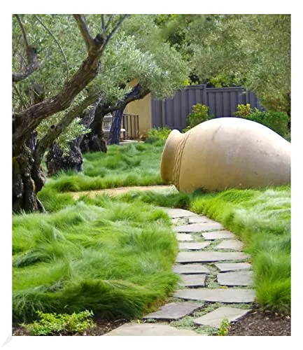 BALDUR-Garten Pflanzen von BALDUR-Garten