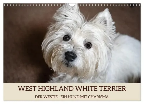 Kalender WEST HIGHLAND WHITE TERRIER von CALVENDO
