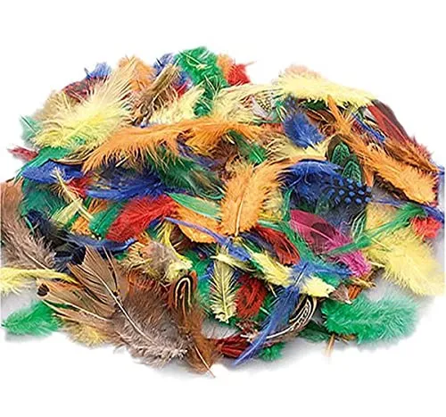 Knorr Prandell 212543001 2543001 Schmuckfedern-Mix, 1.5 - 10 cm, bunt