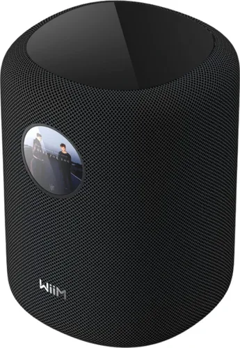 WiiM Sound Schwarz von WiiM