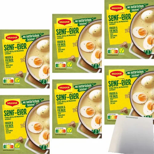 Maggi Fix Senf Eier 6er Pack 6x41g Packung usy Block