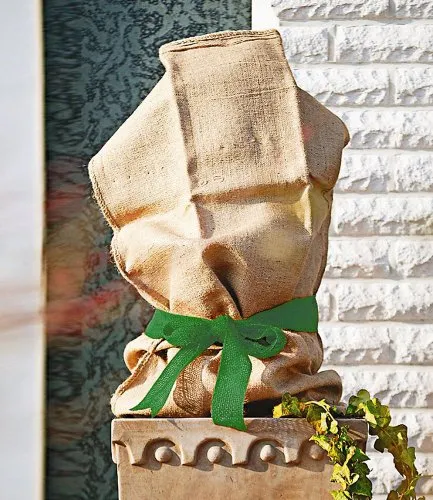 Videx Winterschutz Jutesack, 60 x 80cm, natur