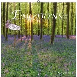 Emotions 2026 - Wandkalender mit Notizen - Esoterik & Anthroposophie - Hochwertiger Broschürenkalender mit 12 stimmungsvollen Landschaftsbildern und viel Platz für persönliche Notizen. FSC-zertifiziert und in 6 Sprachen!