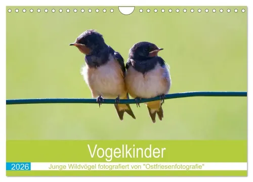 Christina Betten - Ostfriesenfotografie | Vogelkinder - Junge Wildvögel...