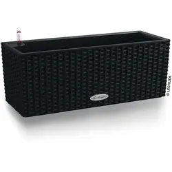 Lechuza Balconera Cottage Pflanzkübel 50 x 19 x 19 cm - Garten-Zubehör aus hochwertigem Kunststoff, mit modernem Design in graphitschwarz und integriertem Bewässerungssystem für gesunde Pflanzen.