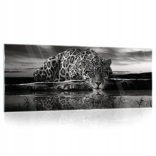 WallArena Glasbild 125x50 cm Tiger Schwarz Weiss Tiere Leopard Modern Glasbilder Badezimmer Schlafzimmer Bilder auf Glas einteilig Deco Glass Querformat Wandbilder Aufhängfertig