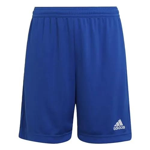 adidas Shorts Blau von adidas