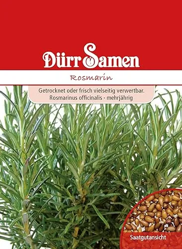 Rosmarin Samen Rosmarinsamen ca 80 Korn Küchenkräuter Kräutersamen Saatgut Balkon Garten Hochbeet Kübel Dürr Samen