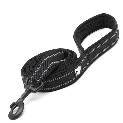 Active Truelove City Leine Schwarz – 2,5 cm Breite für Hunde