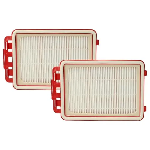 vhbw Filterset 2X Staubsaugerfilter kompatibel mit AEG VX4-1-WR-P Staubsauger - HEPA Filter Allergiefilter