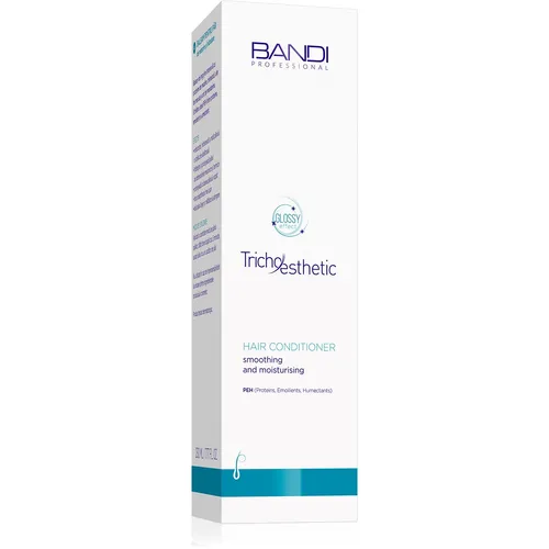 Haarspülung für trockenes Haar 230ml – Glanz & Feuchtigkeit BANDI