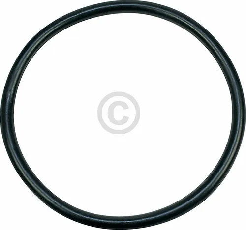 ELECTROLUX - Dichtung Sieb / Pumpentopf - Ø172mm - 8996461217706