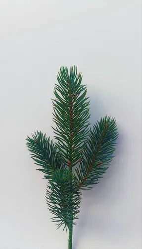 artplants Künstlicher Tannenzweig ALOSANA, grün, 25cm