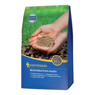 Kiepenkerl Regenerations-Rasen 500 g - Spezielle Rasenmischung für schadhafte Stellen, hohe Regenerationsfähigkeit und schnelle Keimung