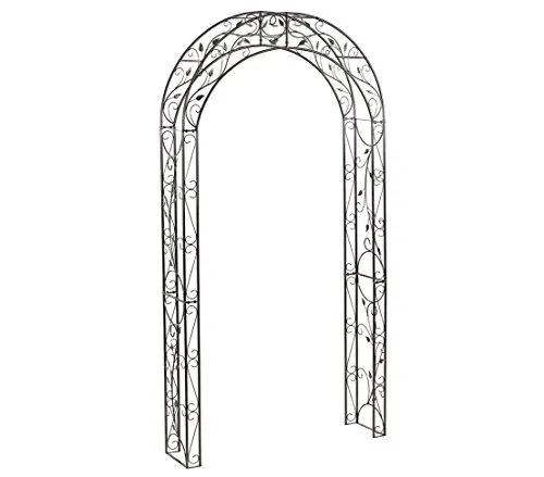 Dehner Rosenbogen Cornwall von DEHN