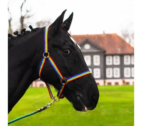 Pferdelinis Halfter Halfter für Pferde 2-Fach verstellbar an Kinnriemen und Genickstück, zweifach verstellbar