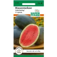 SAMEN PFANN Wassermelone Little Darling F1