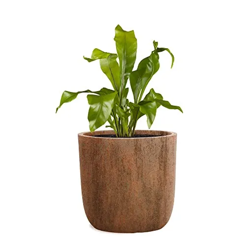 Pflanzwerk® Pflanzkübel Cup - Blumentöpfe Übertöpfe Ø27cm ROST *Frostbeständige Blumenkübel* *UV-Schutz* *Deutsche Pflanzenkübel Qualität*