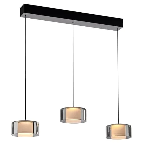 Paul Neuhaus LED-Pendelleuchte