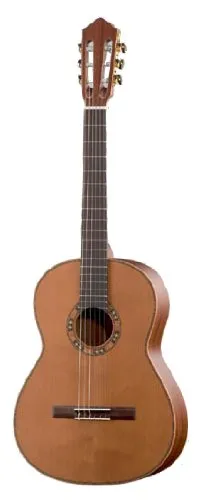 Höfner HM65-Z B-Stock