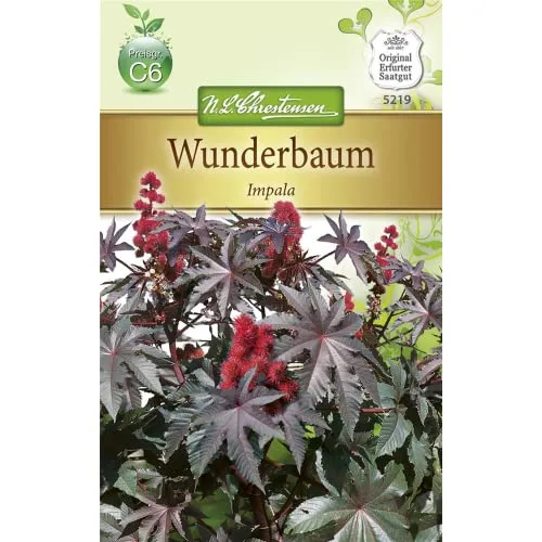 Chrestensen Wunderbaum 'Impala'