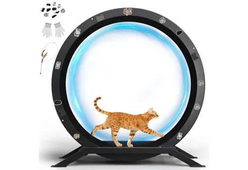GTPLAYER Katzenlaufrad - Extra großes 100 cm, ultraleises Metall-Laufrad für Katzen - Entwickelt für Katzen, fördert natürliche Bewegung und sicheres Spiel. Mit robustem Metallrahmen und leisen Rollmechanismus ideal für jede Umgebung. Inklusive abnehmbarem Teppich und Spielzeug für zusätzlichen Spaß!