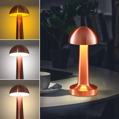 Eaxus® Aufladbare Mushroom Lampe - Schöne Deko LED Tischlampe kabellos in Pilzform - für Wohnzimmer, Schlafzimmer & Co | USB-Kabel und Akku, Kupferfarben