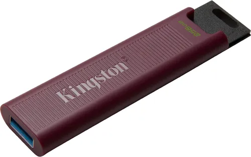 Kingston DataTraveler Max 256GB