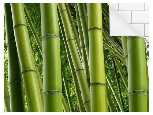 Wand- & Deckenfliesen Grün von Bilderdepot24