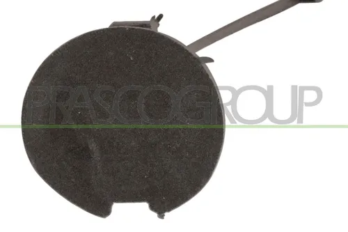 Prasco Klappe, Abschlepphaken FT0191276