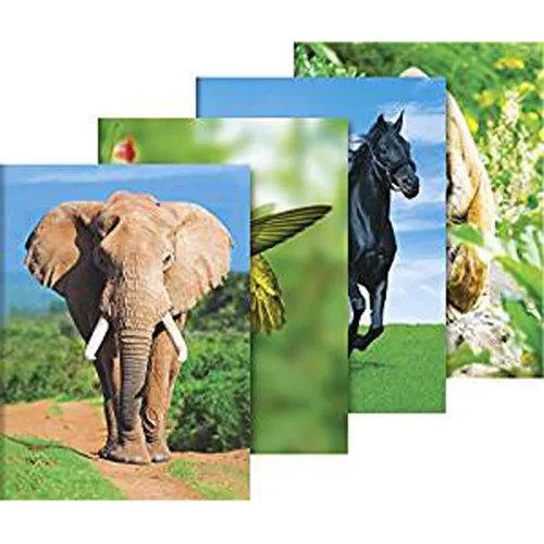 Sammelmappe fuer A3 Tiere