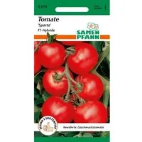 SAMEN PFANN Gemüsesamen Tomate Sparta F1 - Hochwertige Tomatensamen für sonnige Standorte, ideal für ca. 5 Pflanzen. Diese Sorte ist krankheitsresistent und überzeugt durch ihren intensiven Geschmack.