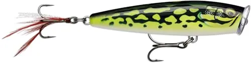 SKITTER POP ELITE SPE75 GDLF