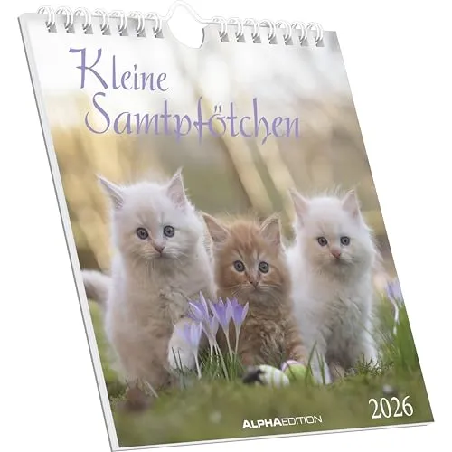 Alpha Edition - Kleine Samtpfötchen Kalender 2026 – Postkartenkalender 16×17 cm mit Katzenmotiven, zum Aufstellen oder Aufhängen, niedlicher Tischkalender & Geschenkidee für Katzenliebhaber