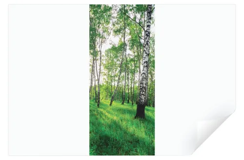 Wallarena Türtapete Selbstklebend Birkenwald Wald 3D Effekt Türaufkleber Tür 91x211, Glatt, Grün Wald, Türtapete Selbstklebend