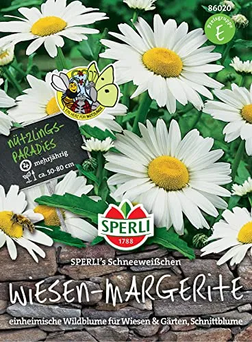 Sperli 86020 Wiesen-Margerite SPERLI's Schneeweißchen, ideale Pflanze für Blumenwiesen Wildrasen oder Natur- und Bauerngärten