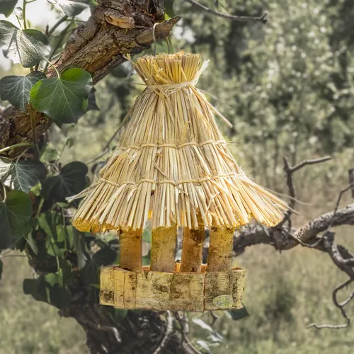 Futterstation aus Birke von Antikas