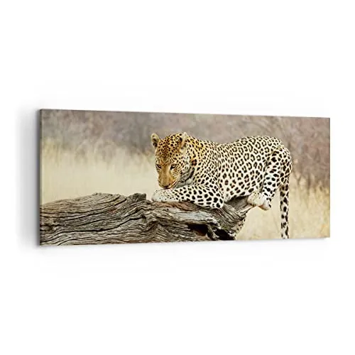 Wandbilder Dekoration Wohnzimmer Afrika Leopard Katze Safari Panorama Bilder auf Leinwand 120x50cm Leinwandbild Schlafzimmer Wand Kunstdruck Art Groß Wanddeko Bild Wall Decor Canvas AB120x50-2599