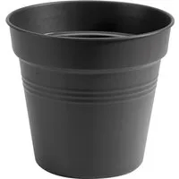 Elho Anzuchttopf Green Basics Ø 17 cm,iving schwarz