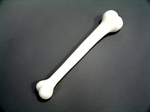 Knochen ca. 41cm weiss Steinzeit Zubehör Tierknochen