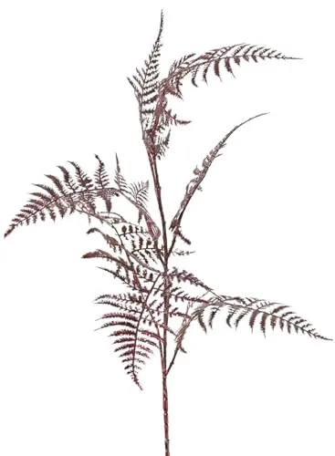 artplants.de Künstlicher Asparagus plumosus Zweig Giona, dunkelrot, 85cm - Künstlicher Deko Zweig