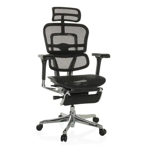 hjh OFFICE ERGOHUMAN PLUS LEGPRO GEN2 Chefsessel