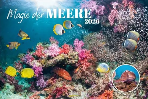 Magie der Meere 2026: Großer Foto-Wandkalender von Korsch Verlag