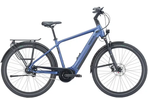 Pegasus E-Bike Pegasus Strong Evo 5R 750 Wh Herren blau 2024, 5 Gang, Nabenschaltung, Bosch Performance Line smart System, 750 Wh