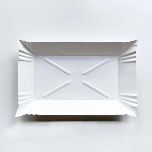 Pappteller Pappschalen Pommesschalen Einwegteller Partyteller eckig 13x20 100 x