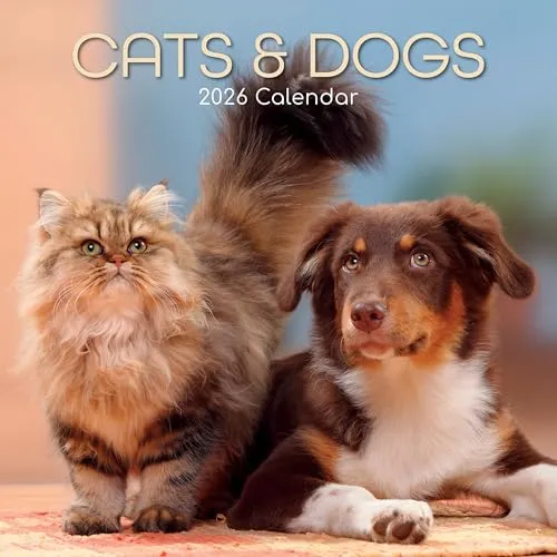 TGSC Kalender 2026 - Katzen & Hunde, 16 Monate - Quadratischer Wandkalender mit wunderschönen Bildern von Katzen und Hunden. Ideal für die Organisation zu Hause oder im Büro mit großem Raster für Notizen und Geburtstage. FSC-zertifiziertes Papier für umweltbewusste Planung.