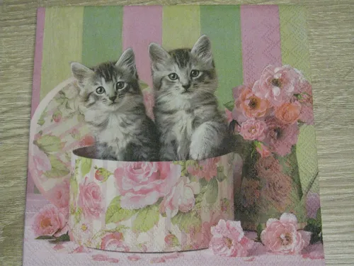 Servietten OVP Cats in Box   Napkins 20