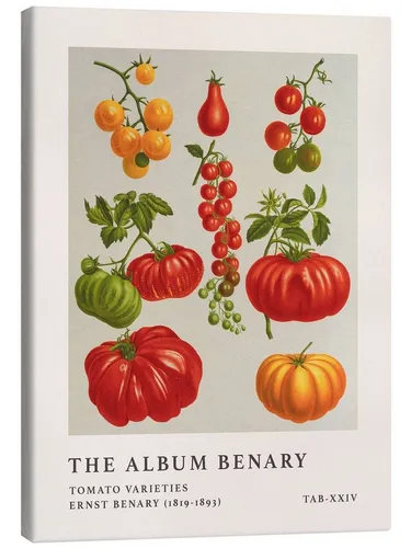 Posterlounge Wandbild The Album Benary in orange von Posterlounge