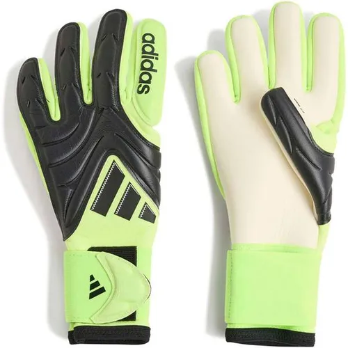 ADIDAS Kinder Handschuhe Copa Pro Kids von adidas