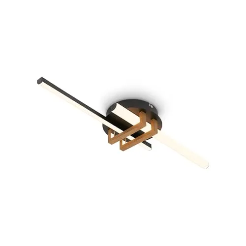 Briloner Leuchten LED Deckenleuchte 3953025, Schwarz mit integriertem LED